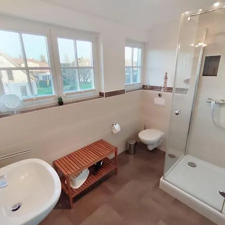 Shell Seeker Modern Retreat *